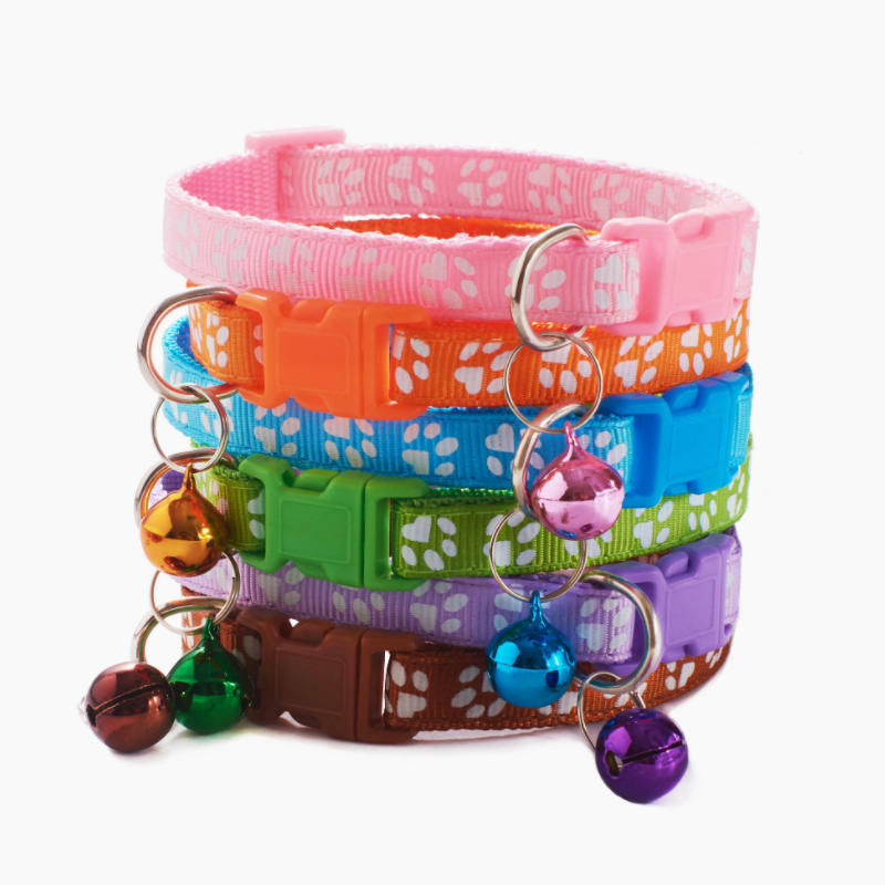 Colorful pet collar