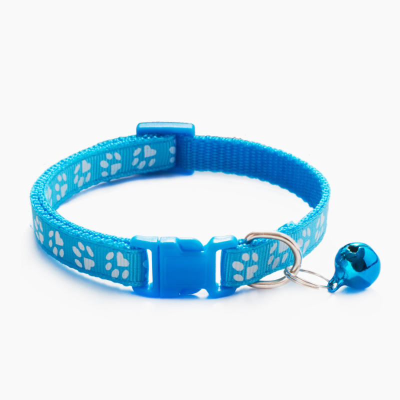 Colorful pet collar